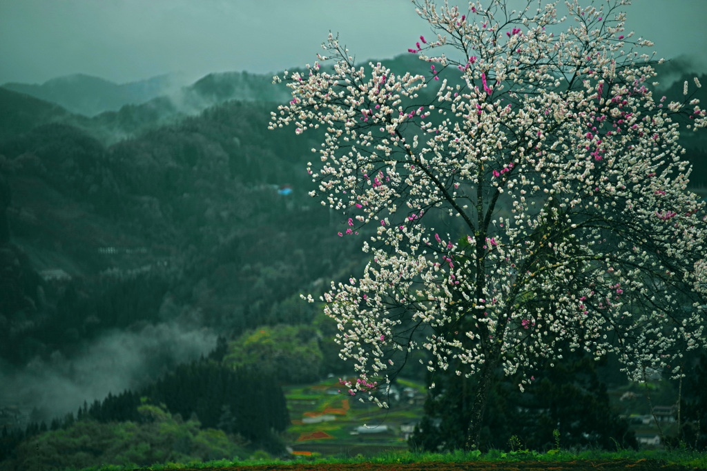 もうじき晴れるかな？　IMGP2029zz