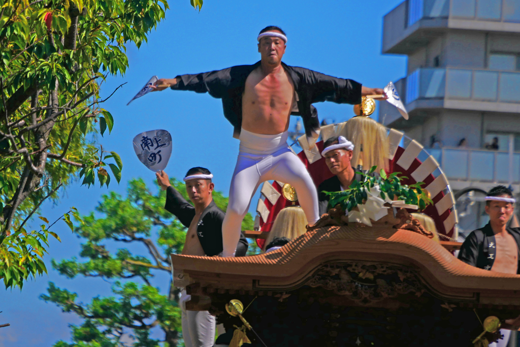 祭りの花形　P1240864zz