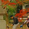 それぞれの記念写真　IMG2451zz