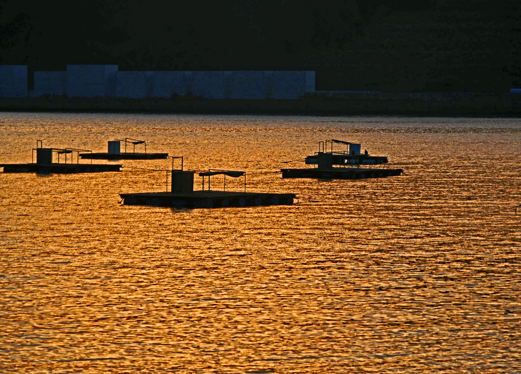 釣り筏　P1510268zz 南紀 和歌山