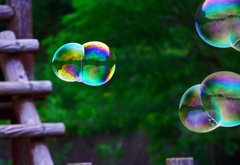 シャボン玉飛んだ！　P1180434zz