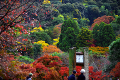 円山公園午前8時33分　IMGP1140zz