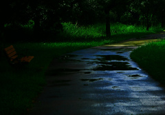 水溜まり　P1700736zz