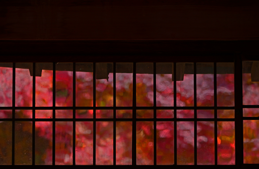 窓の外は紅の海　P1059700zz
