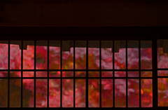 窓の外は紅の海　P1059700zz