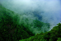 山峡に湧き立つ霧　IMGP7856zz