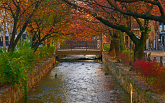 高瀬川 朝の陽　P1058705zz