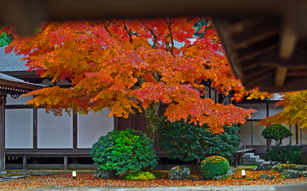 静寂の庭　IMGP0184zz