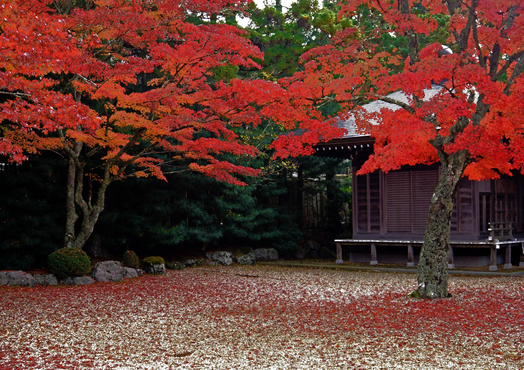 天徳院の秋　P1780277zz