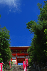 石段を上がるともうすぐ本殿　P1044059zz