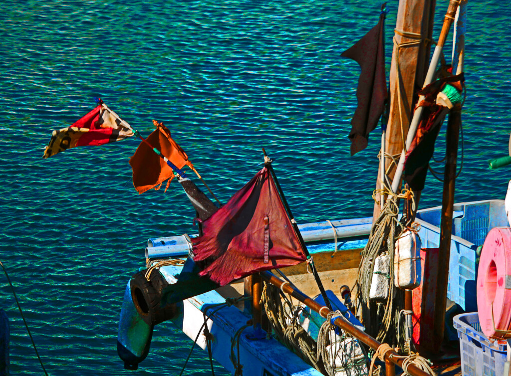 年季の入った旗　P1510106zz