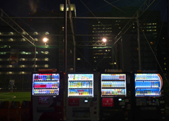 熱帯夜　P1089531zz