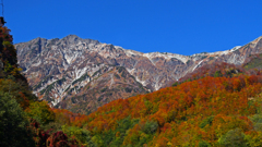 猿倉より白馬岳を望むⅡ　P1114097zz