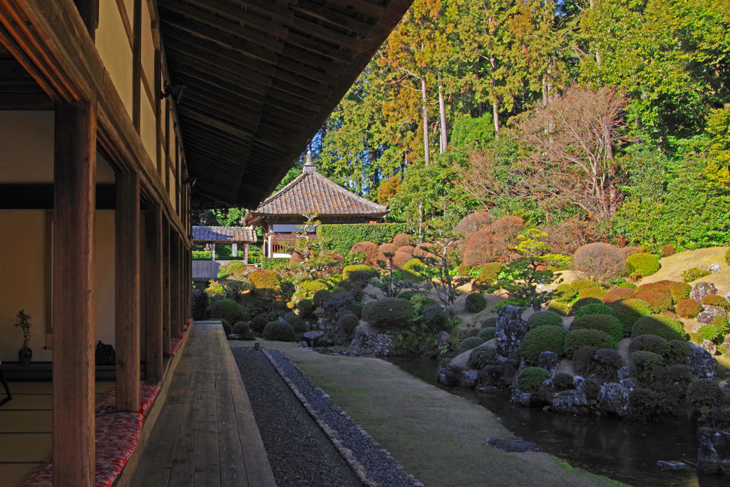 龍潭寺 光と影　IMGP1786zz