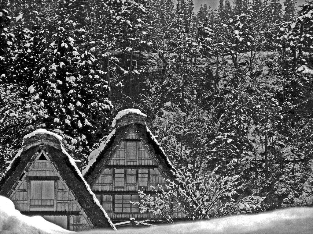 豪雪　DSC01793zz