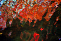 紅の水面　IMGP1933zz