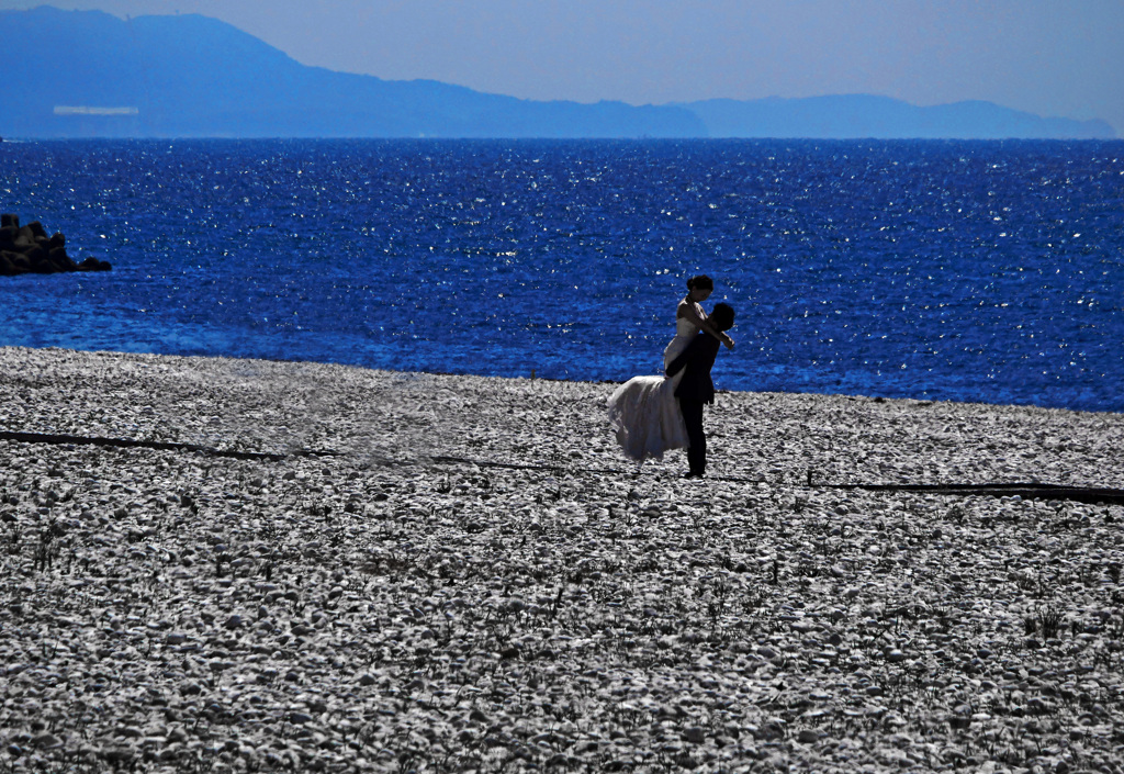 前撮り　P1580598zz