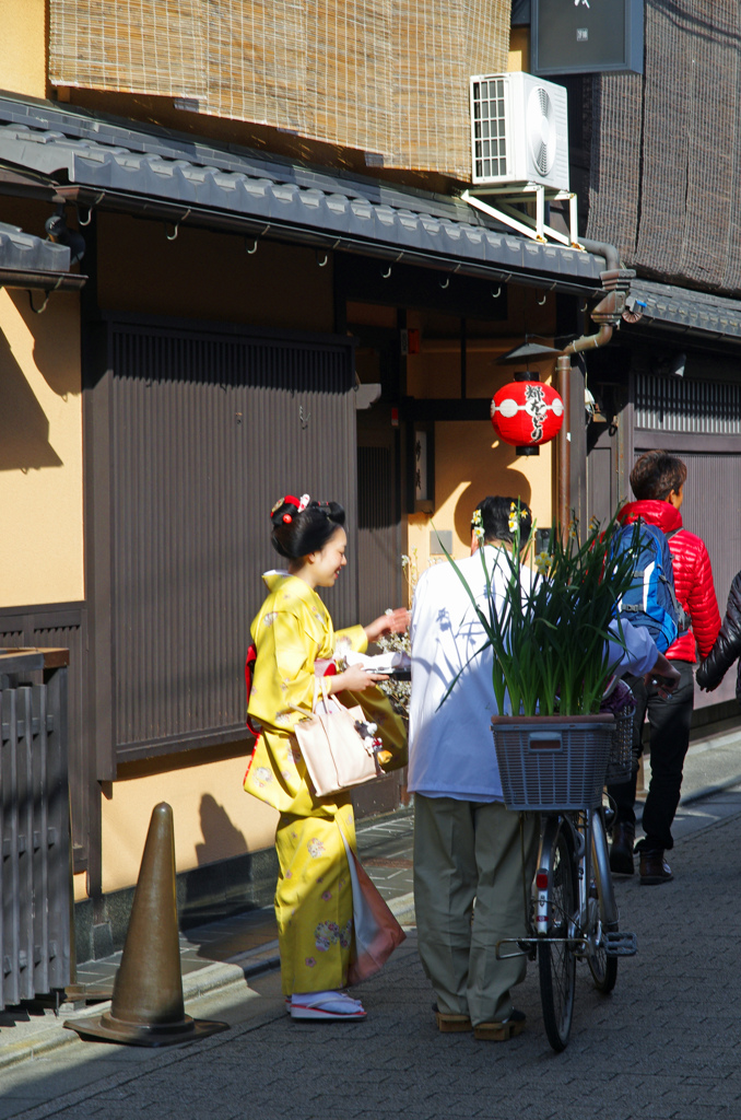 花街の日常　IMGP4663zz