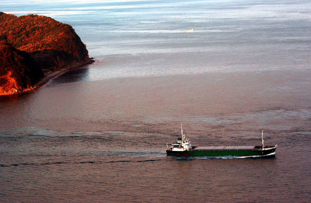 朝日を受けて　IMGP1871zz