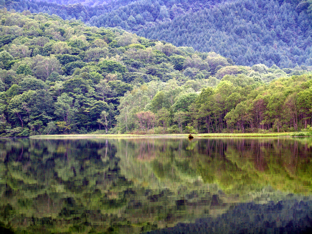 鏡池