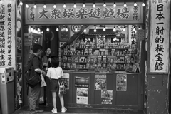 大衆娯楽遊戯郷　P1086928zz