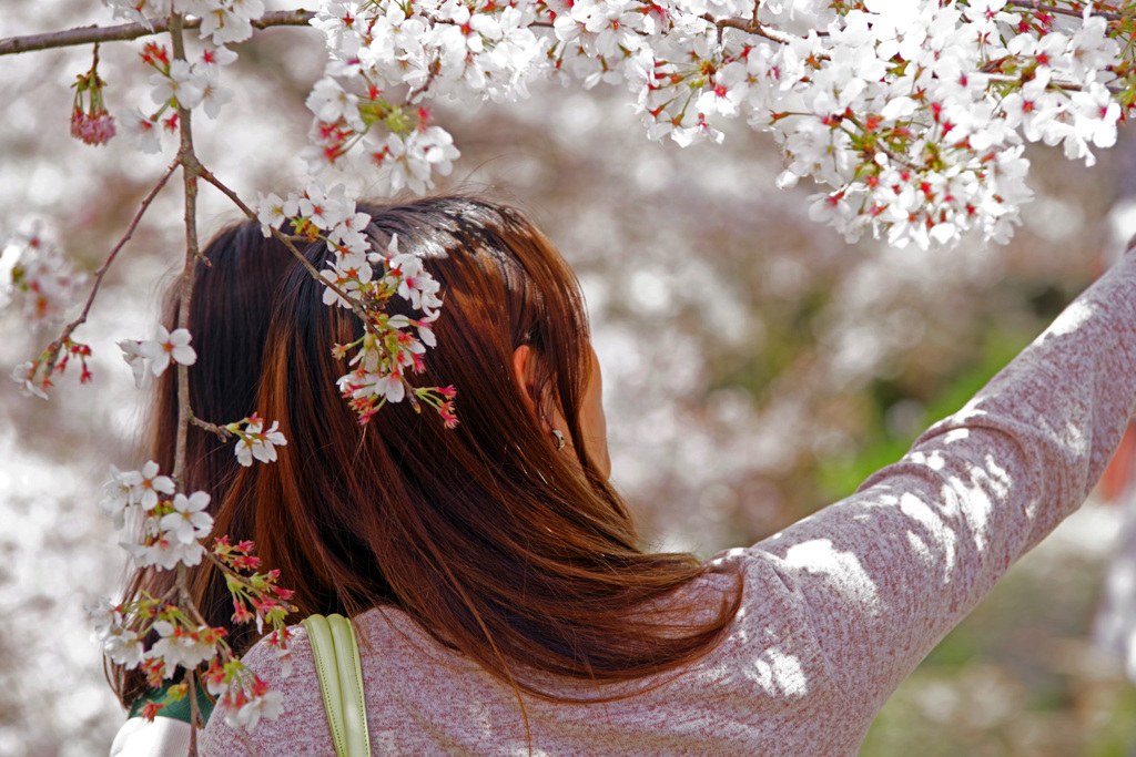 自撮り　IMGP2547zz