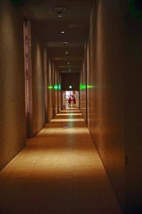 ラビリンスへ　IMGP8284zz