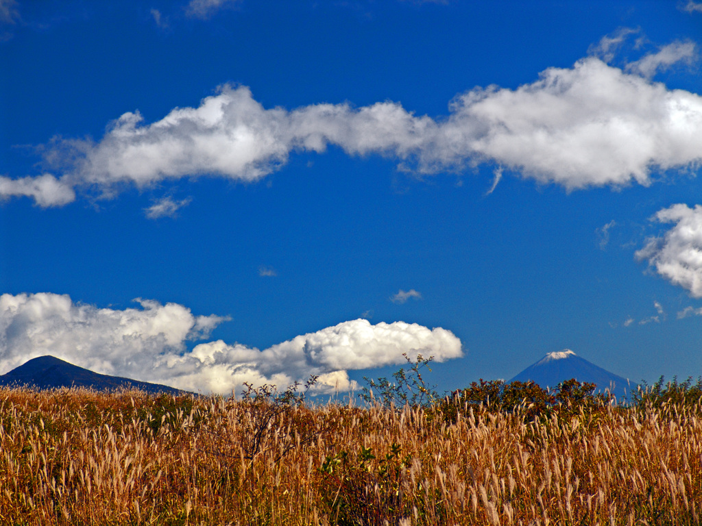 富士と秋雲と薄の原　DSC07111zz