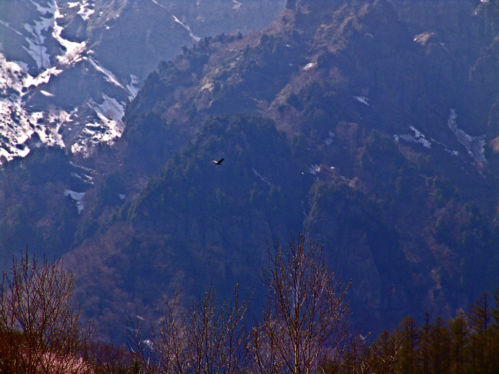 春の兆し　DSC00320zz