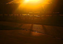 燦燦と降り注ぐ朝の陽 P1690243zz 燦燦と降り注ぐ朝の陽 P1690243zz