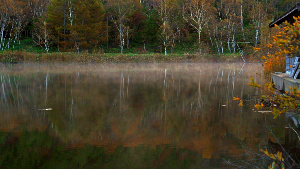 静かな朝P1113562zz