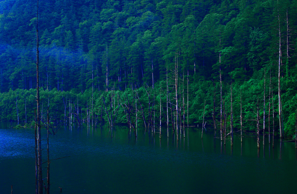 朝の静寂　IMGP0526zz