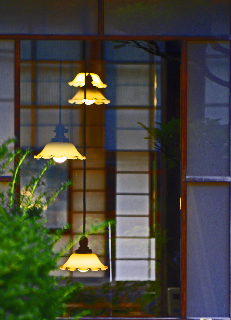 温かい灯　_IMG8998zz