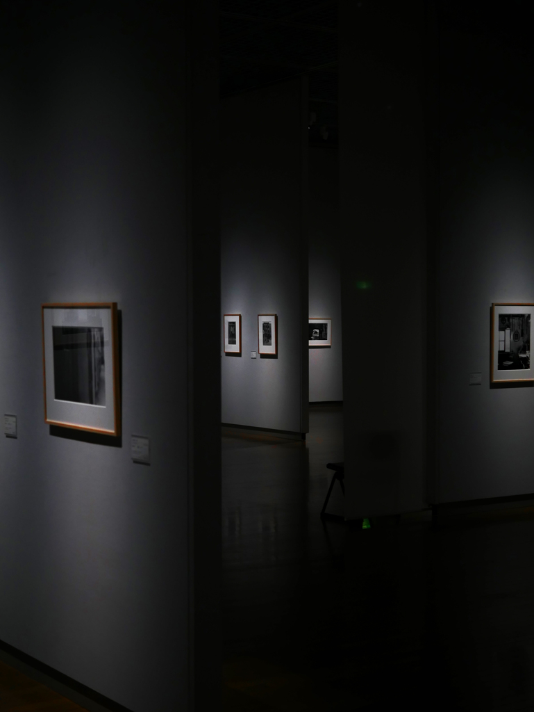 ある写真展から　P1080196zz