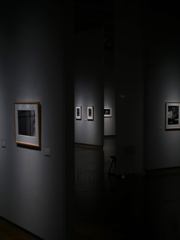 ある写真展から　P1080196zz