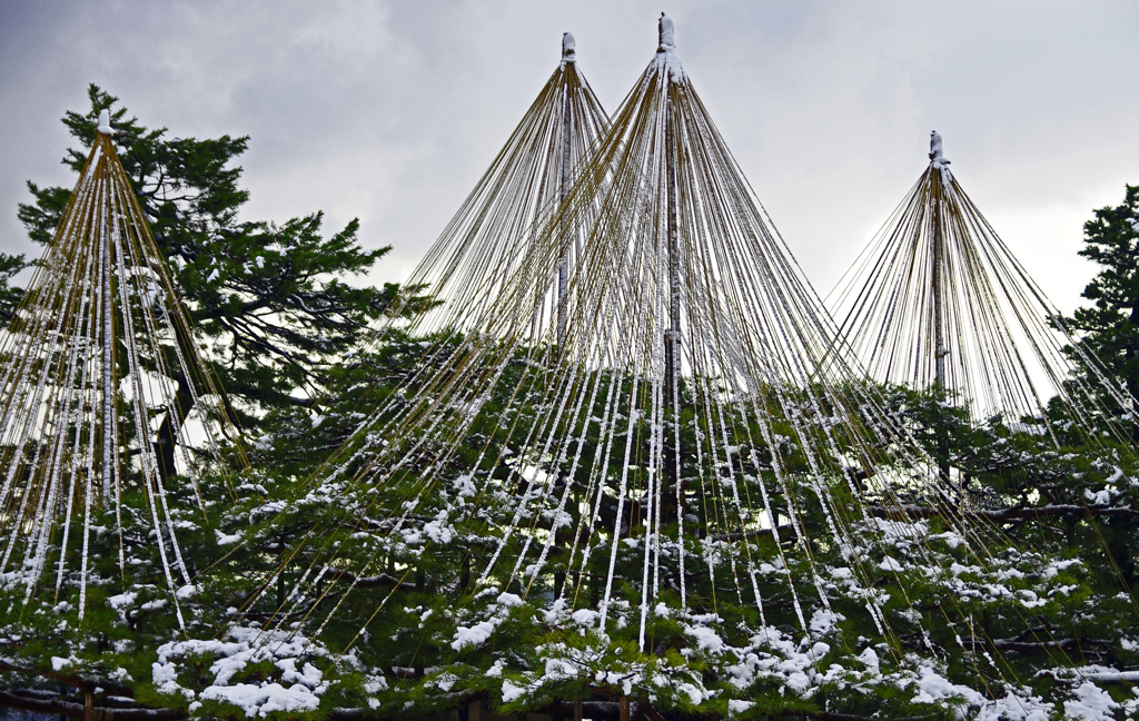 雪吊り　IGP9273zz