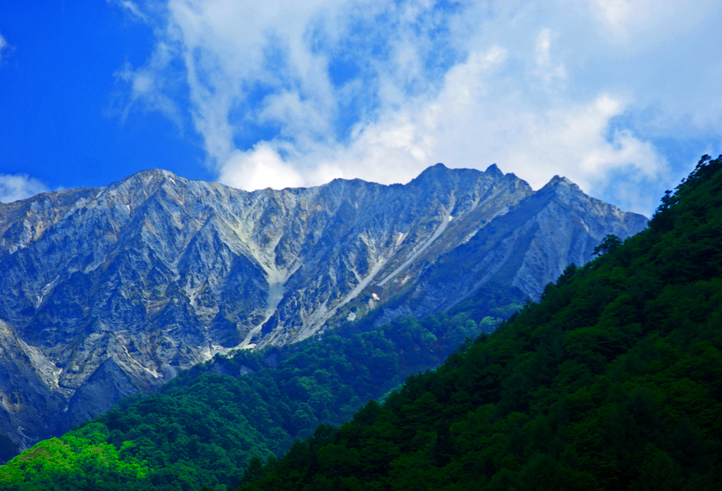 初夏の大山北壁　IMGP4396zz
