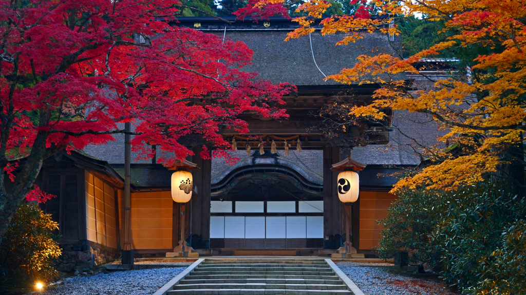 目覚める古刹　P1124855zz