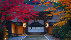 目覚める古刹　P1124855zz