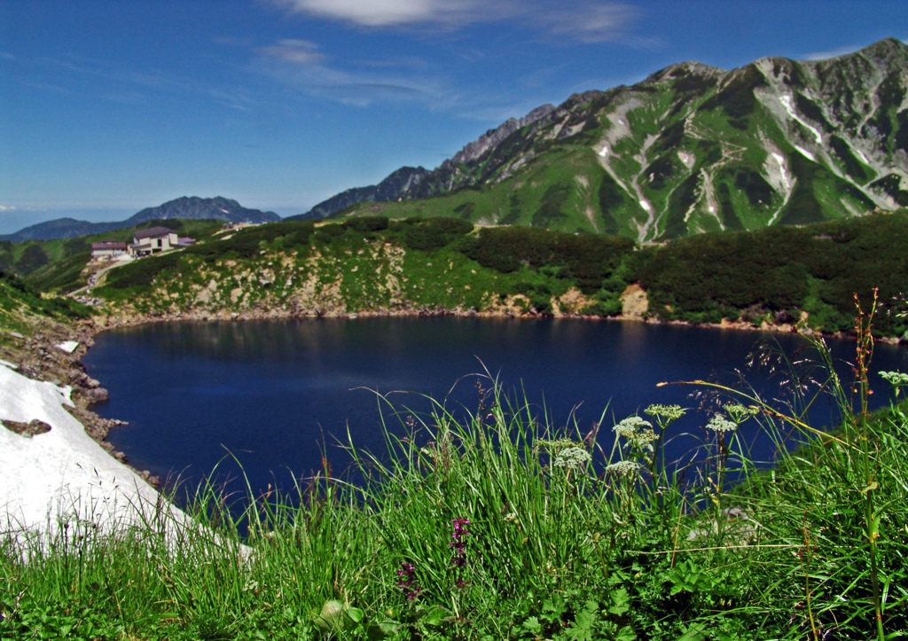 夏空を映す　DSC00731zz