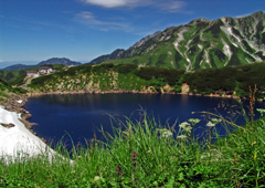 夏空を映す　DSC00731zz