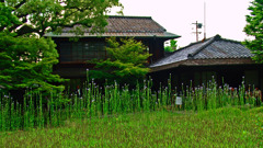 普段着の無鄰菴　DSC00401zz