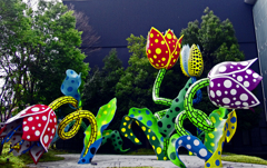 不思議な花園　IGP8801zz