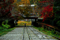 ひとりたび　IMGP1335zz