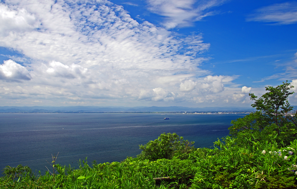 五本松公園より　IMGP5478zz