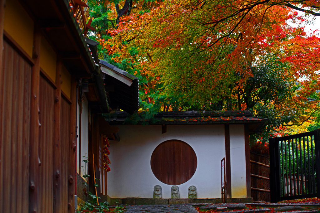 岡林院　IMGP1230zz