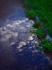 雨上りの空　P1650740zz