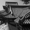 重なる甍　P1087880zz