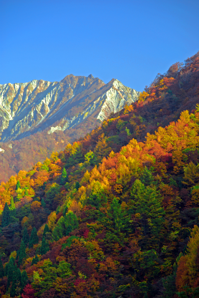 錦繍の北壁　IMGP2723z