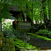 苔むす山門　IMGP5101zz